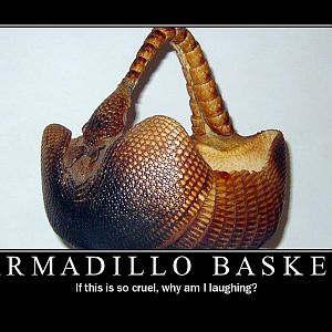 Armadillo basket