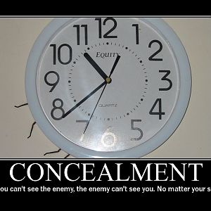 Concealment