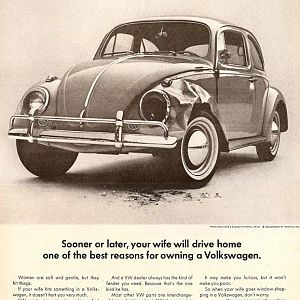 vwbug