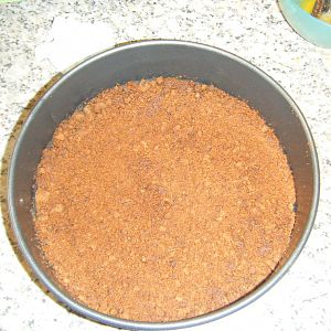 DSCF3008
 
A Spring form tin, Lined with Choc Chip Cookie Crumb base