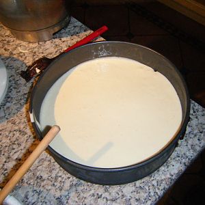 DSCF3018

A 1 inch layer of Vanilla on the base