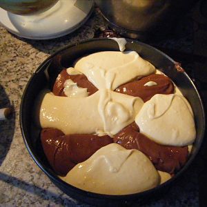 DSCF3019

One Spoon Chocolate.  One Spoon Vanilla.  Alternated.