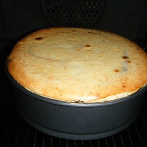 DSCF3024

after 75mins on low