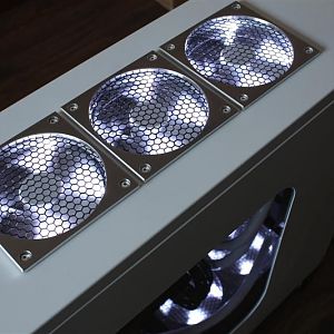 Picture 012 (Medium)