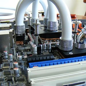 2009 05020048 (Medium)