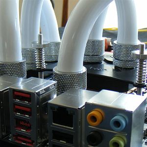 2009 05020056 (Medium)