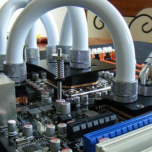 2009 05020057 (Medium)