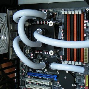 2009 05020066 (Medium)