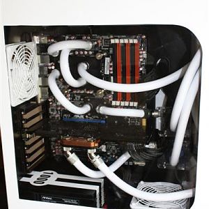 Picture 036b (Medium)