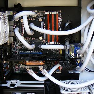 Picture 040 (Medium)