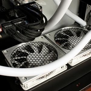 Picture 076 (Medium)