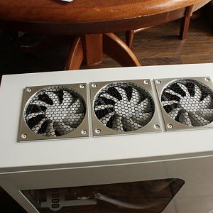 Picture 079 (Medium)