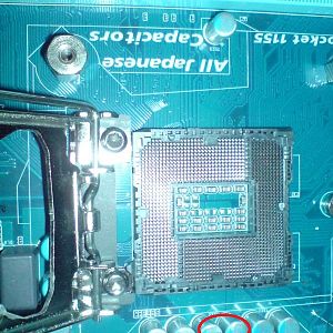 DSC00498 zpsc84201a1