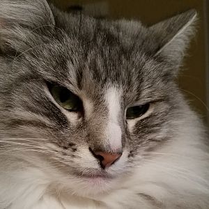 10687053 10205365443878510 5289095321860815095 n