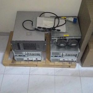 The sacrificial lambs