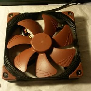 Noctua Fan 3