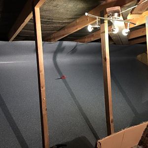 10997998 10152583100705810 8253841224211792933 n