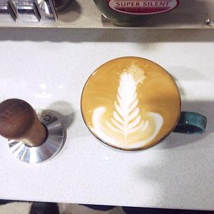 10349008 746040182083637 7433326798118897104 n