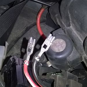 WP 20160416 16 31 09 Pro