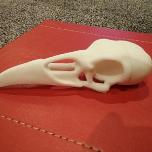 IMG 20160911 193045 1024x768