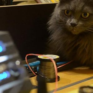 Project VEGA in progress :)