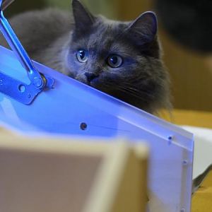 Project Vega - work in progress :)