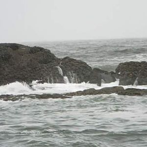 FB IMG 1480303459022