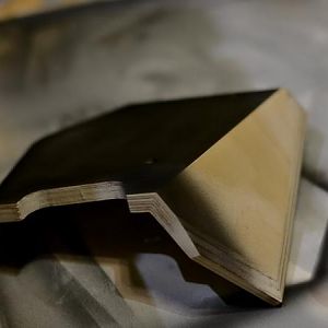 Project VEGA painting