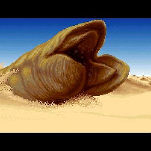 Sand Worm