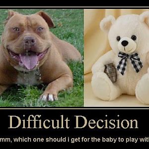 decision