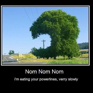 52 amazing picture collection  numaga.com