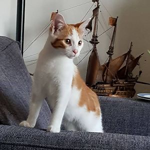 22449777_1978102455769908_2259667994402064625_n