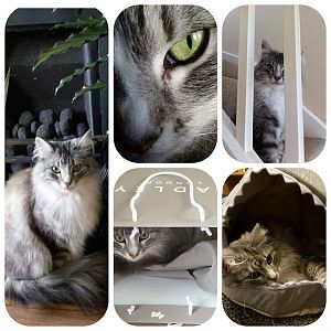 FB_IMG_1512378513059