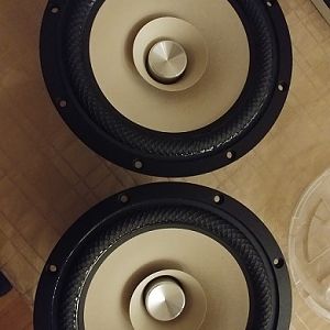 Tang Band W8-2145
