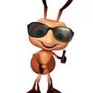 cool ant