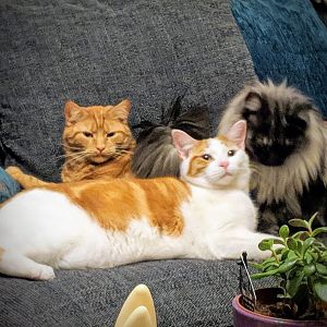 9E997457-6977-4467-806A-A6D54B5822FC