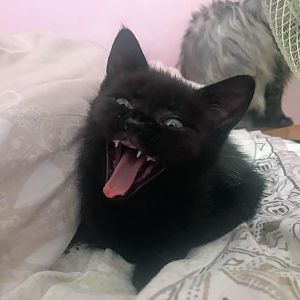 Received_553369611736854