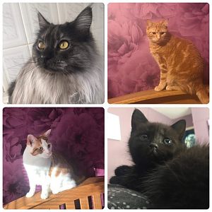 Received_2329233783794865