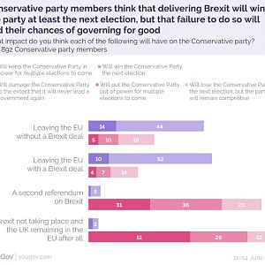 Con Party Members June 2019 Electoral Impact Of Brexit-01
