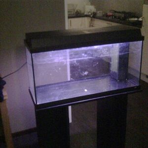 Fish tank ready for cleaning