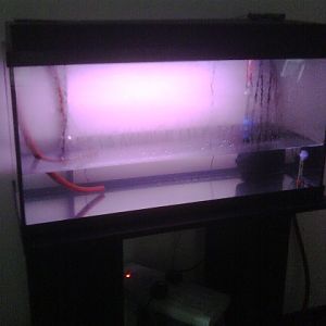 After 9 hours with PC on idle. 

Starting:
Tank 21C
PC 19C

Ending:
Tank 25C
PC 25C