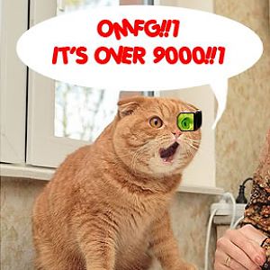 Over9000cat