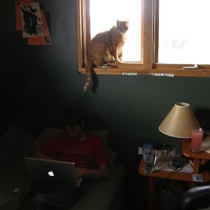 Window kitty is watching you log(sturbate)