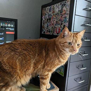 PXL_20240603_143951882