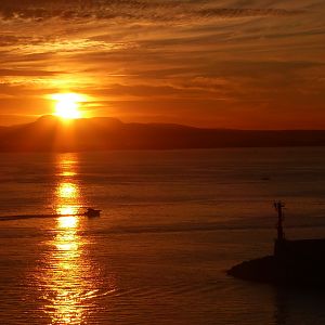 Palmasun