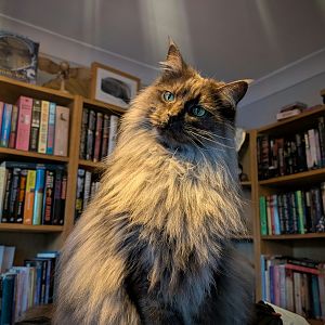 PXL_20241128_152254705~2