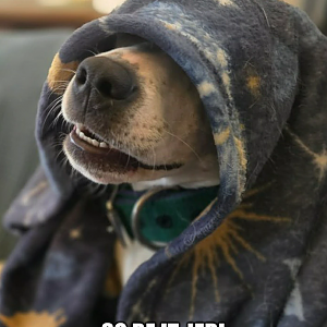 Bark Side (1)
