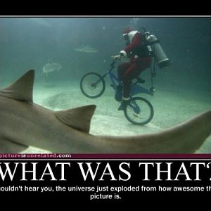 funny demotivational poster